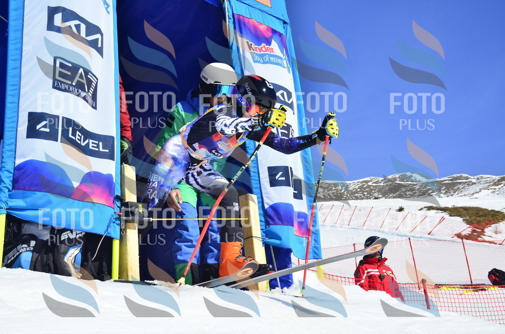 _ELE9827 | holidayphoto