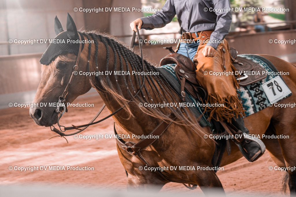 NE300290 | dv-media-shop - Realisiert mit Pictrs.com