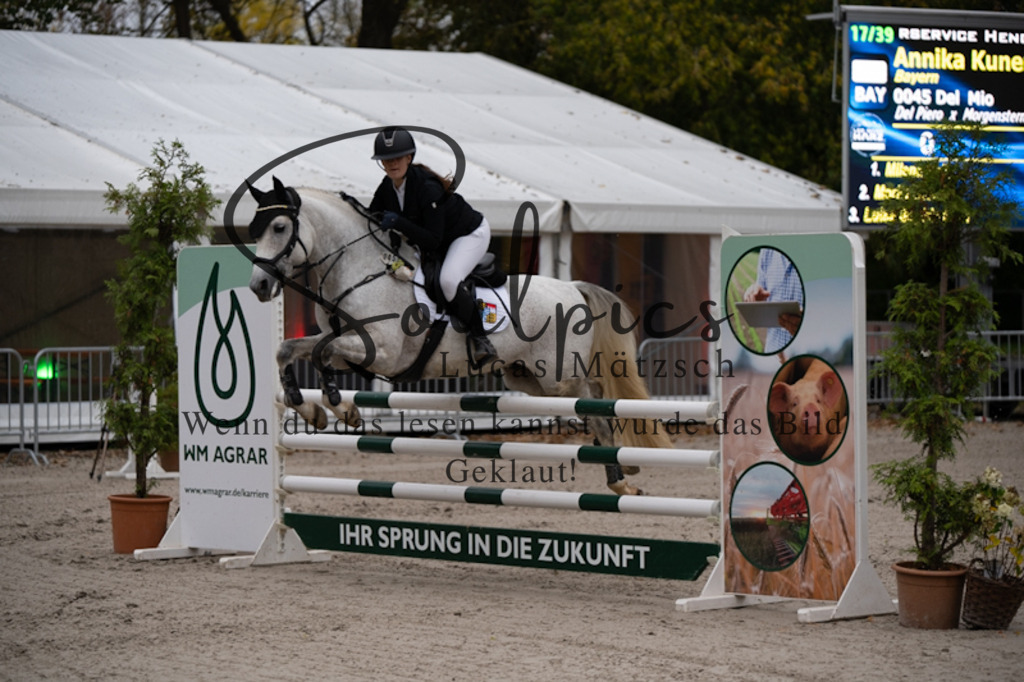 A7V09998 | Pferdefotograf