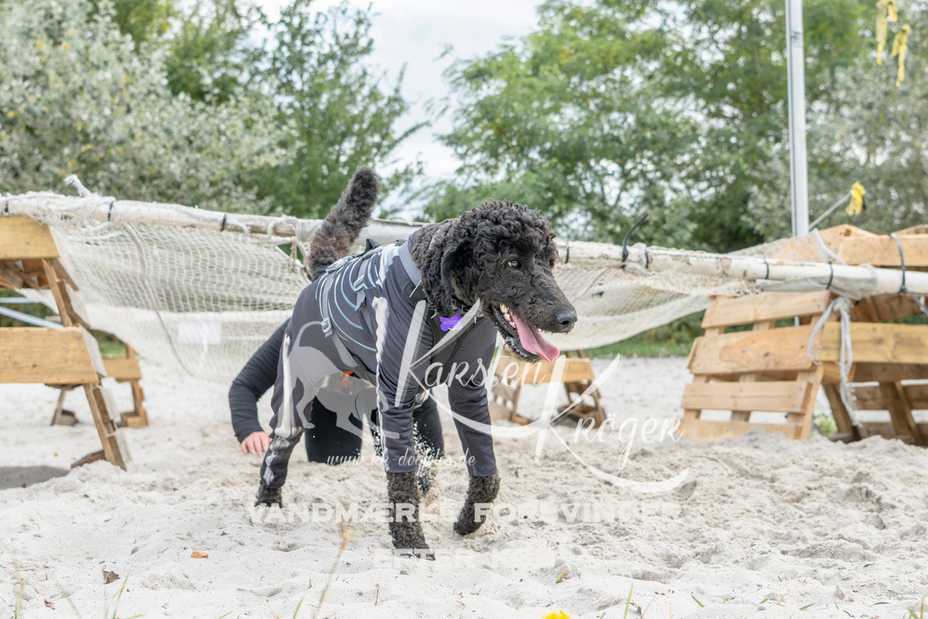 1519_ZZ94283 | kk-dogfotos
