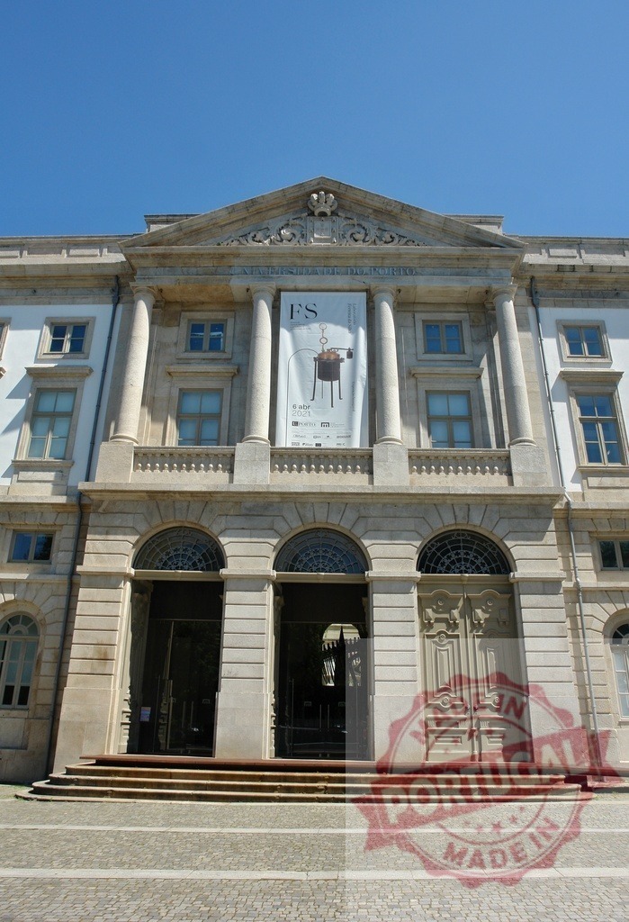 Museu Nacional Soares dos Reis building facade in Porto | Museu Nacional Soares dos Reis neoclassical architecture creating a cultural landmark in Porto - Realized with Pictrs.com