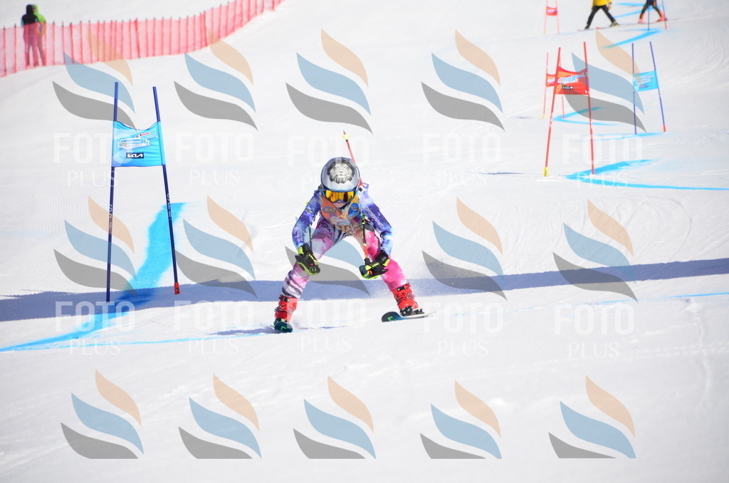 VR4_9127 | holidayphoto