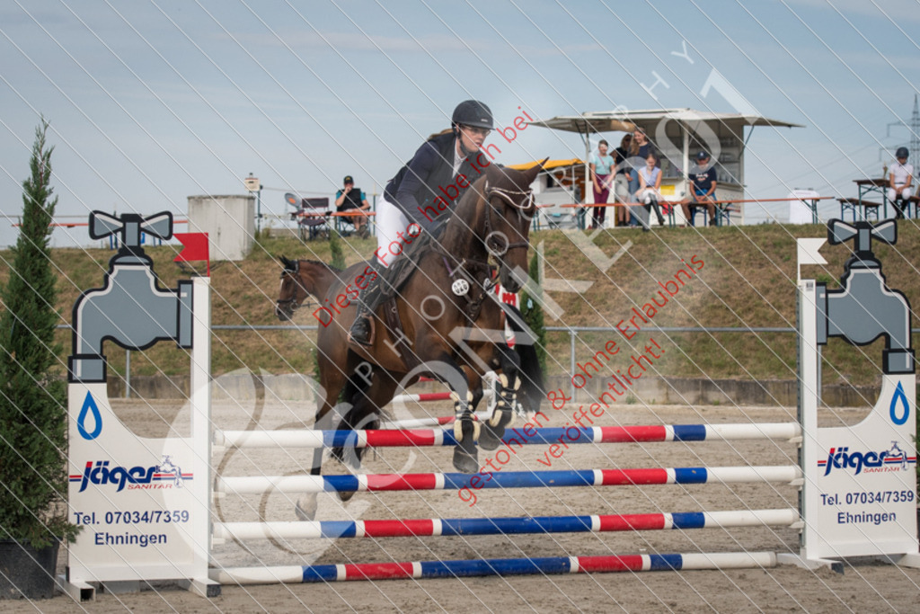 ND5_8878 | Sport-, Event- und Tierfotos in Profiqualität. Einfach auswählen, bestellen und herunterladen. Dein Moment – perfekt festgehalten.