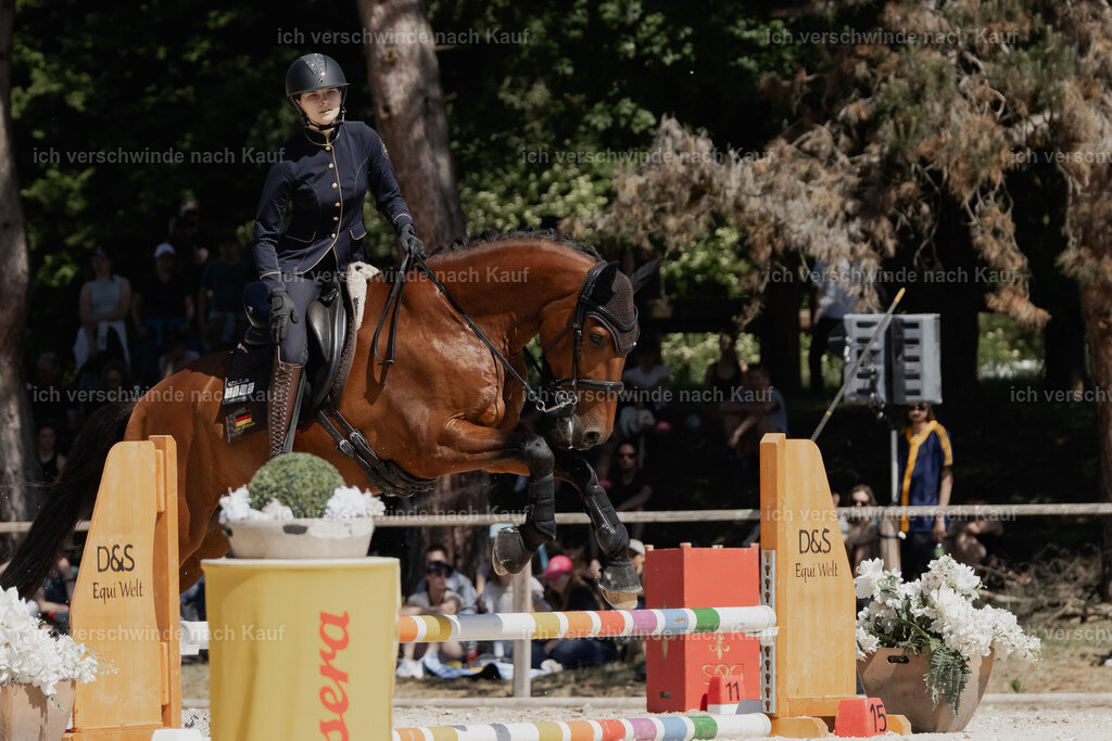 _AM18919 | Pferd International München 2025