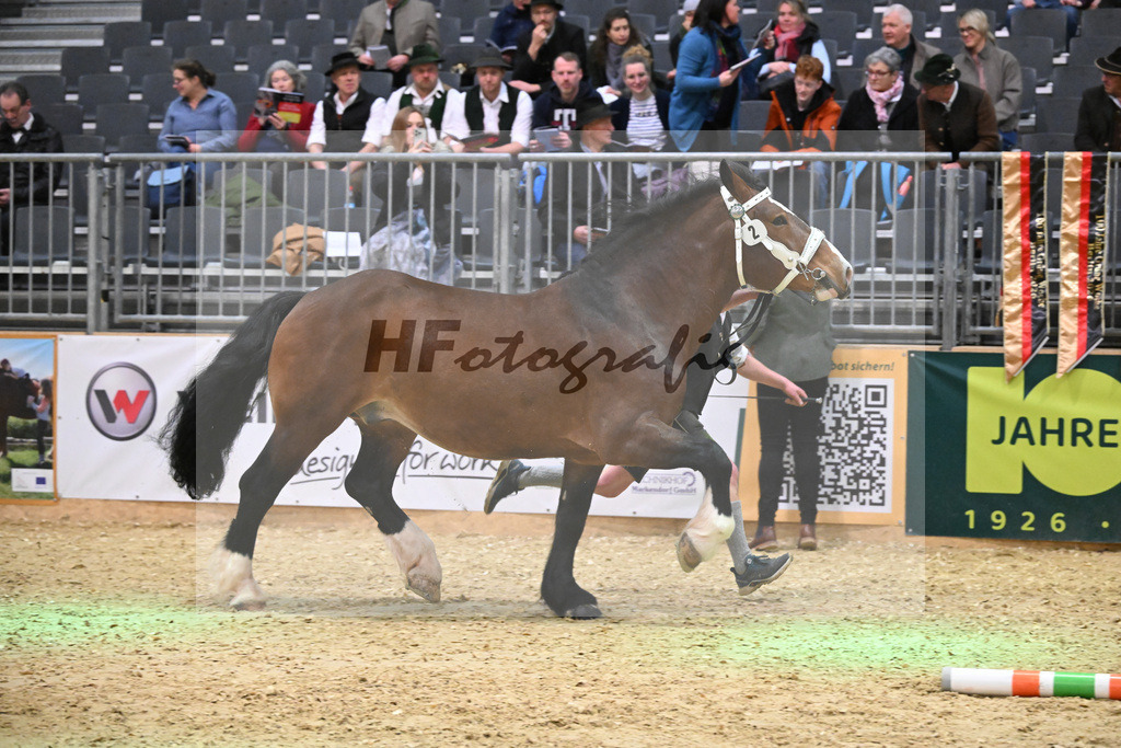 Kat-Nr. 2 Spitzingsee v. Schwanstein_Holl_1260040 | hf-fotografie - Realisiert mit Pictrs.com