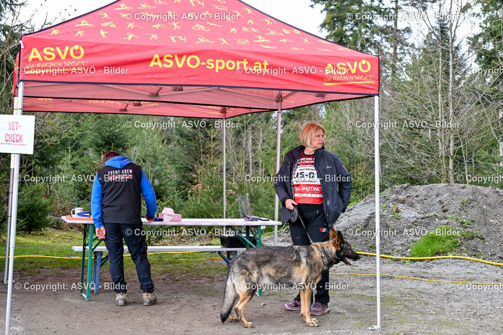 ASVÖ_ Tracking Dog World Championship 2025_ 31.03.2025-25 | 31.03.2025, AUT, ASVÖ, Tracking Dog World Championship // FCI IGP Fährtenhundeweltmeisterschaft 2025©fodo.media / Harald Dostal - Realisiert mit Pictrs.com