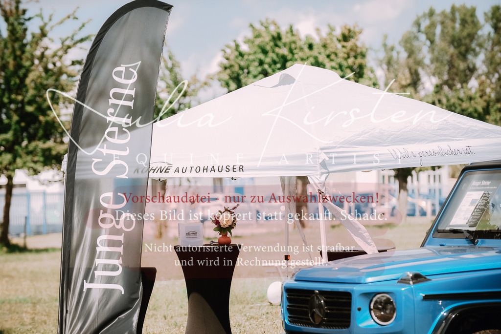 DSC_6413 | Pferde- und Turnierfotografie in Westsachsen. Pferdeportraits, Auftragszeichnungen und intuitive Kunst.