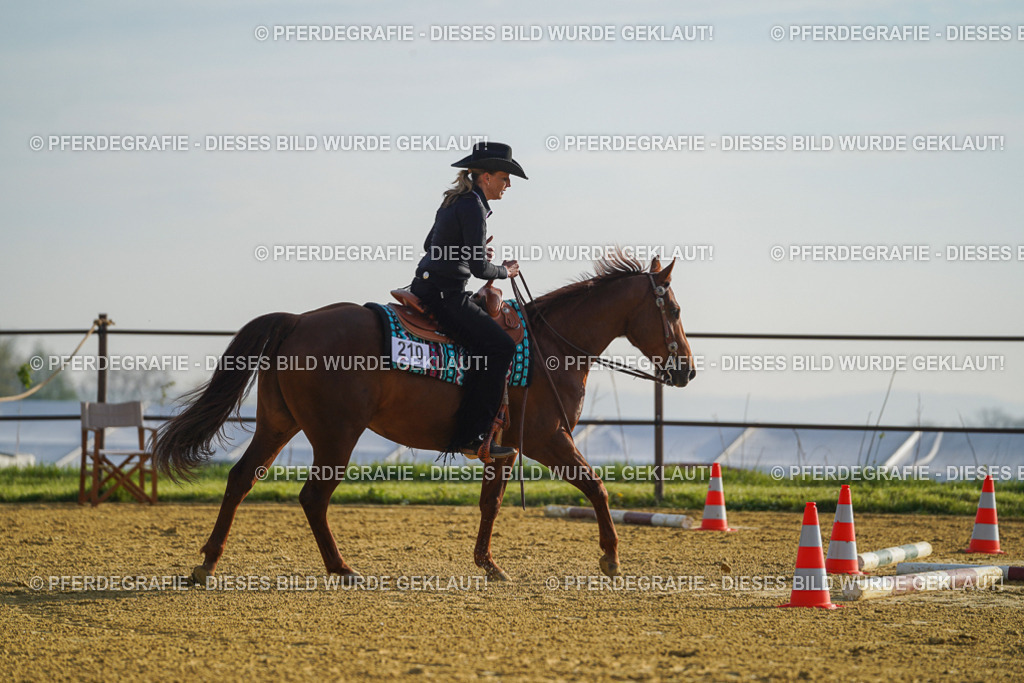 DSC00113 | Pferdegrafie