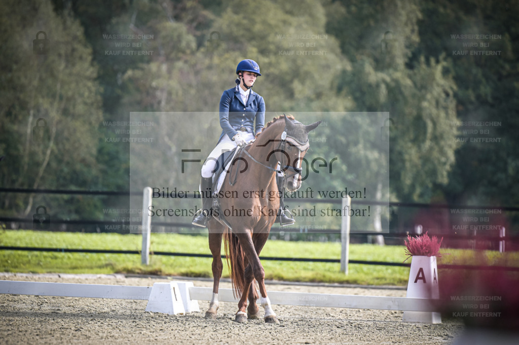 DOS_B633 | Entdecke hochwertige Reitturnierfotos von Foto Oger. Professionell, emotional und authentisch – jetzt Lieblingsmomente im Shop bestellen. - Realisiert mit Pictrs.com