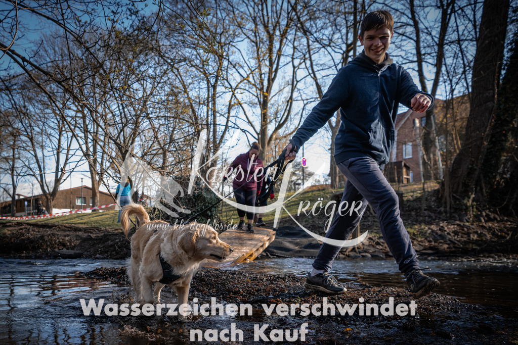 0829_ZZ91717 | kk-dogfotos