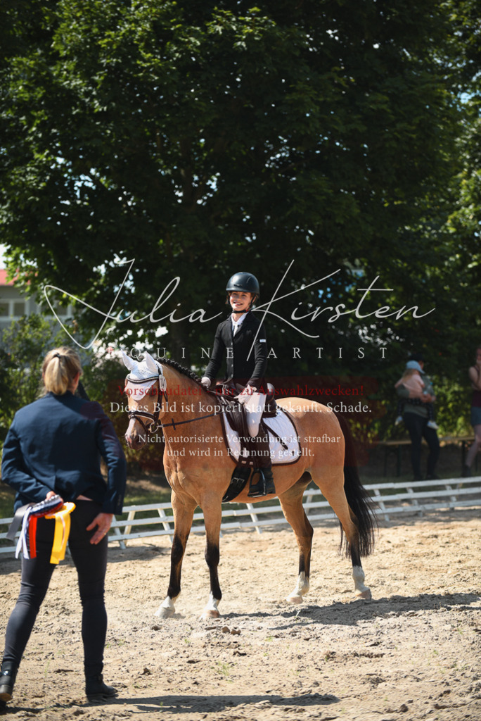DSC_2554 | Pferde- und Turnierfotografie in Westsachsen. Pferdeportraits, Auftragszeichnungen und intuitive Kunst.