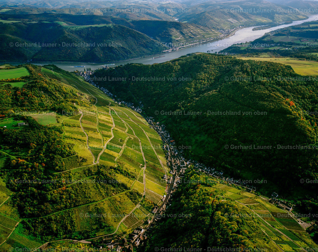 9400315 | Weinberge bei Bacharach-Steeg