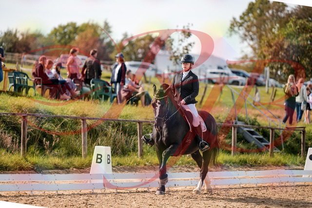 2026_10_03_Siefer-Hof_131718_Z63_79280184 | Professionelle Reitsport-, Turnier- und Eventfotografie von Robert Broda. Galerien mit ausgewählten und bearbeiteten Bildern direkt online ansehen und bestellen.