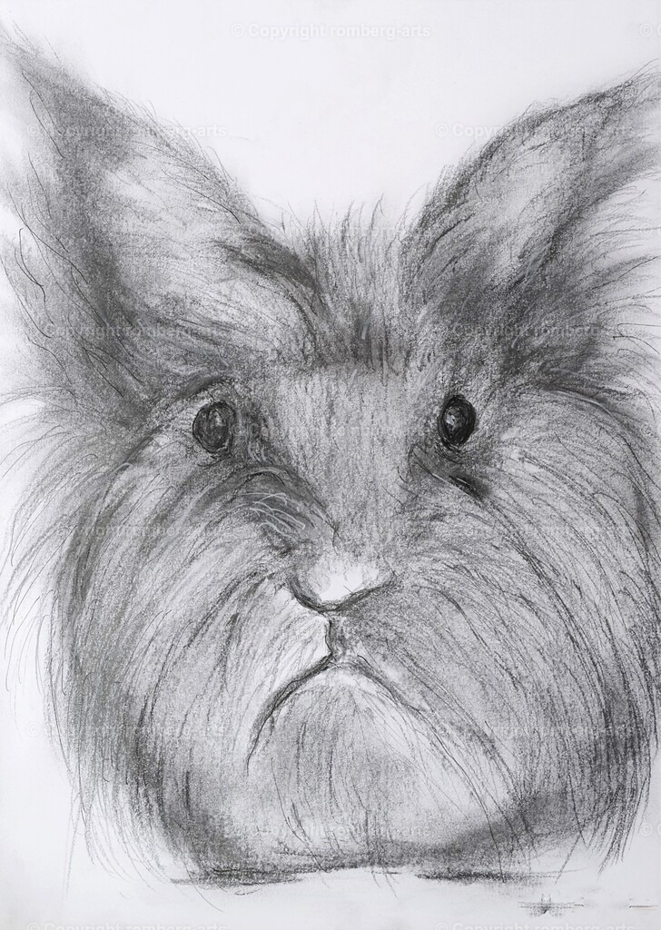 L1020547 (2) | romberg-arts, romberg-arts.de, www.romberg-arts.de, Foto_Online_Shop, Julia Fuhrmann, Köln, Fotos, Fotografie, Fotokunst, Kunstdrucke, Naturfotos, Aktfotos, Nacktfotos, schwarz_weiß_Fotos, Blumenfotos, Blumen, Tiere, Beton, Korrosion, Lächeln, Drucke