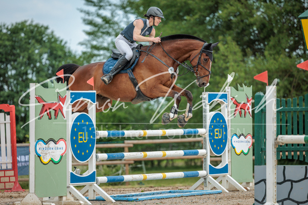 20260530-_3LI2364 | Tierfotografie Pferde, Hunde, Katzen, Haustiere.
Turnierfotografie Reitturniere, Reiten, Springreiten, Dressur in Hanau, dem Main-Kinzig-Kreis und dem Rhein-Main- Gebiet um Frankfurt