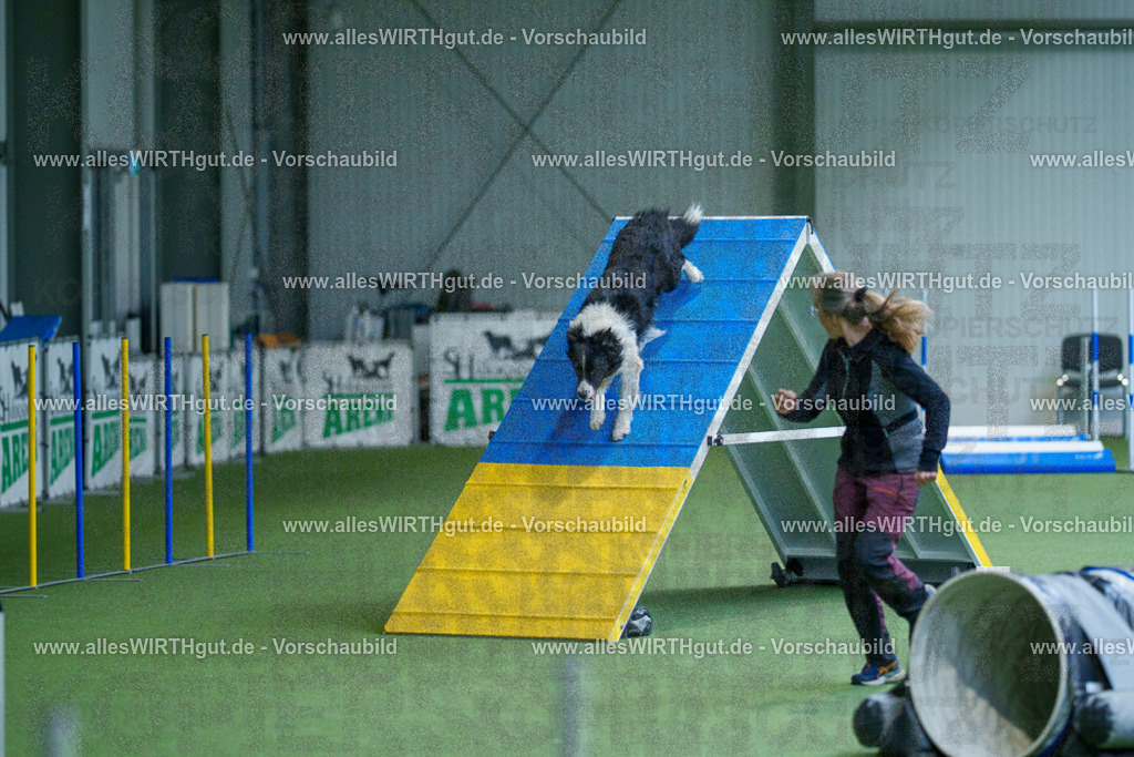 @allesWIRTHgut_Tierfotografie - www.allesWIRTHgut.de - 2604261531-7R505860 | Professionelle Tierfotografie in Mönchengladbach von Daniel Wirth (allesWIRTHgut). Liebevolle & natürliche Bilder von Hunden & Katzen für unvergessliche Erinnerungen.