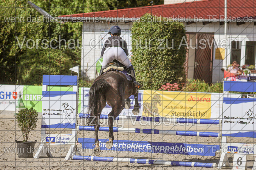 2025-09-21_02-53-46_MG_7705 | TE-Fotos