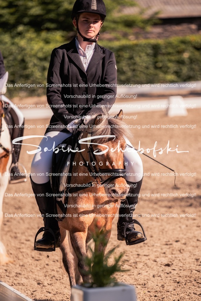 2025_05_31_DSCF2862 | People- und Tierfotografie, Imageaufnahmen, Veranstaltungsfotografie und Wandbilder aus der Natur ★ Made in Germany ✔️ Druck + Downloads ✔️ Naturfotografie in Top Qualität ★ schneller Versand, weltweite Lieferung! - Realisiert mit Pictrs.com