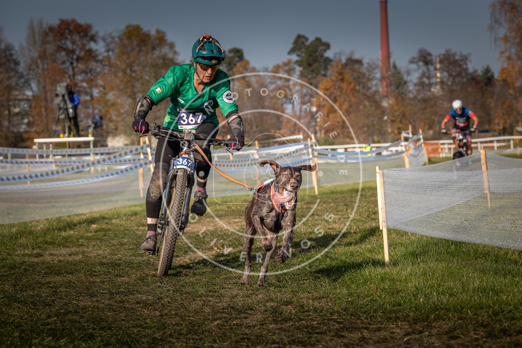 CaniXpix_0L8A7739 | Hundefotografie, Tierfotograf, Pfotenfotografie, Fotoshooting Hund, Hunde Portrait, Hundesport, Hundeportraits, Heideshooting, Hunde, Sportfotograf, Hundefotograf, Turnierhundsport, THS,  - Realisiert mit Pictrs.com