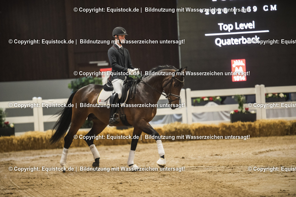 20240302_Hengstvorstellung_Marbach_TOMsPiC_0156-2 | equistock