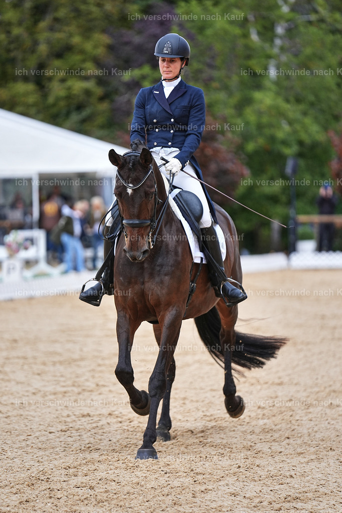 8_1-087-Klasse S_  -Marixx-4113 | working equitationturnier fotograf videograf stoibphotography marixx film working equitation deutschland reitsport turnierfotografie eventfotografie equestrian events