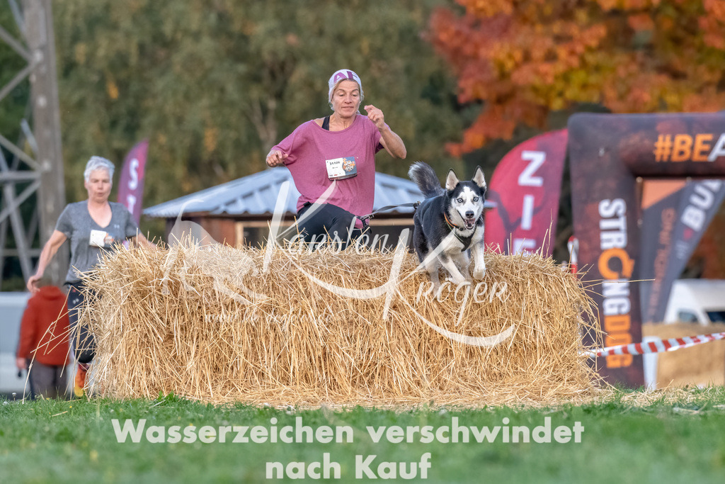 0810_ZZ94578-Bearbeitet | kk-dogfotos