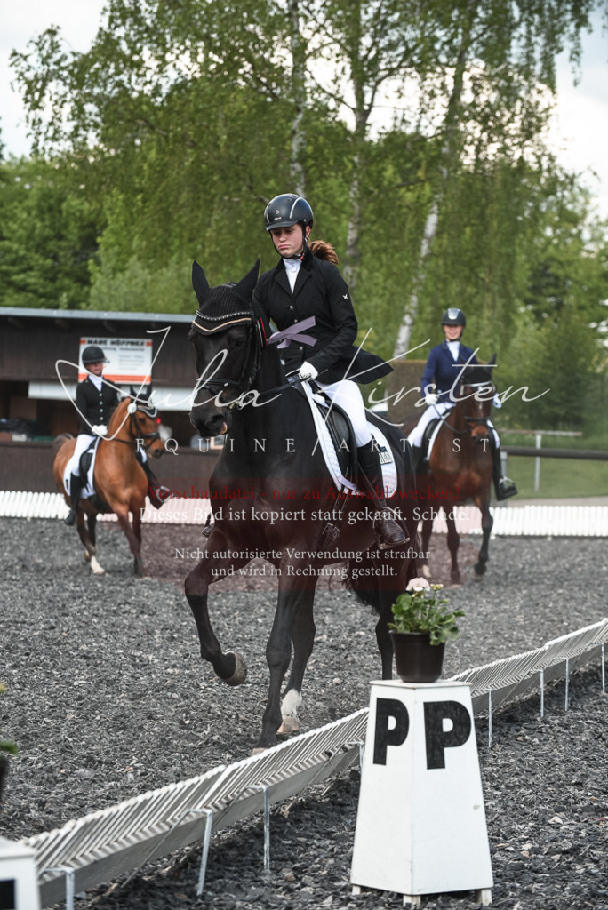DSC_9110 | Pferde- und Turnierfotografie in Westsachsen. Pferdeportraits, Auftragszeichnungen und intuitive Kunst.