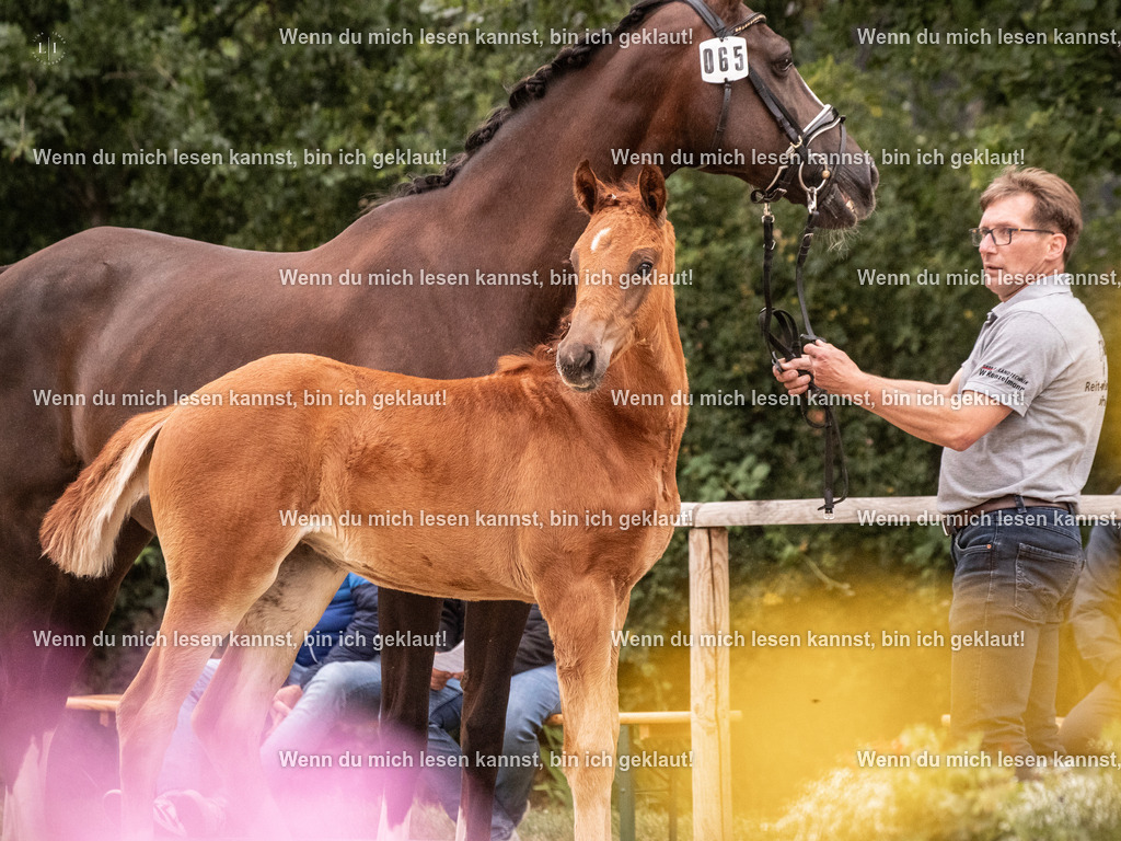 A10I6758 | photographylinaismer - Realisiert mit Pictrs.com