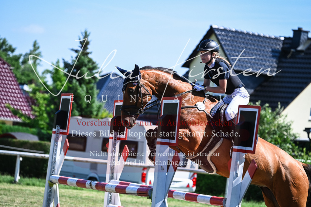 DSC_1472 | Pferde- und Turnierfotografie in Westsachsen. Pferdeportraits, Auftragszeichnungen und intuitive Kunst.