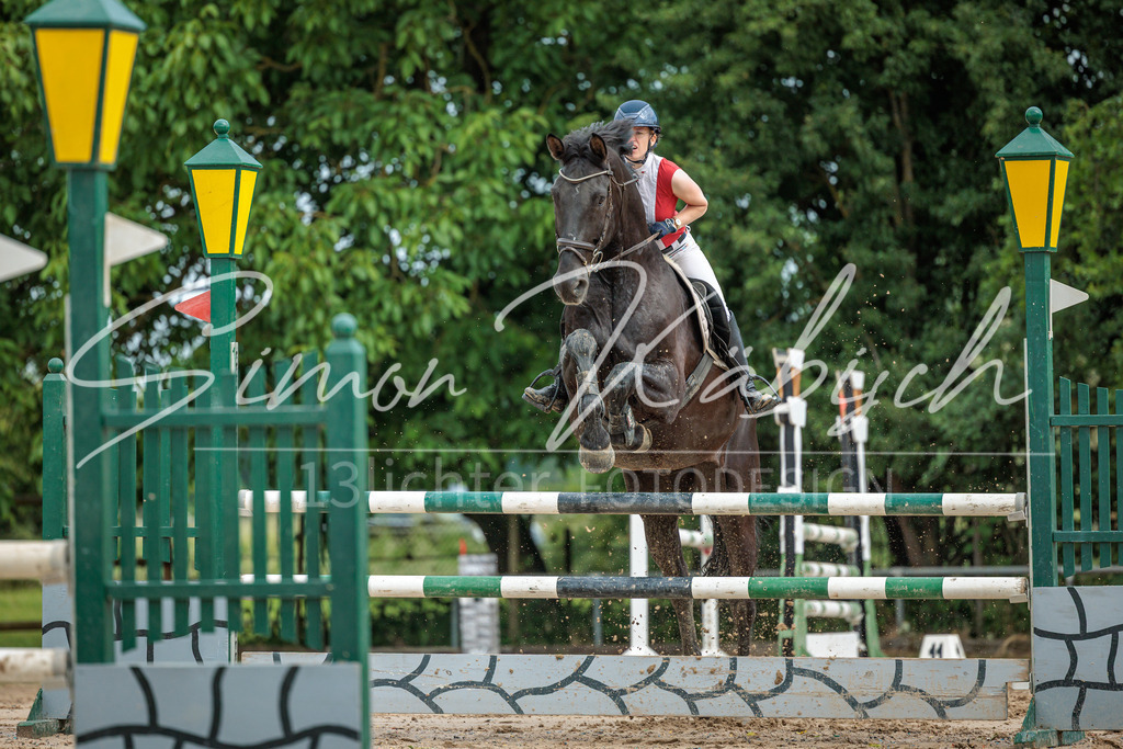 20260530-_3LI2415 | Tierfotografie Pferde, Hunde, Katzen, Haustiere.
Turnierfotografie Reitturniere, Reiten, Springreiten, Dressur in Hanau, dem Main-Kinzig-Kreis und dem Rhein-Main- Gebiet um Frankfurt