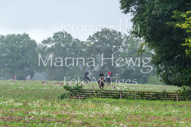 Jagd Perdoel 26 Sony-03437_MarinaHewig | Fotografie, FotoArt, PferdesportArt, Pferdesportfotografie, Landschaftsfotografie, Reisefotografie, Reise, Pferde - Realisiert mit Pictrs.com