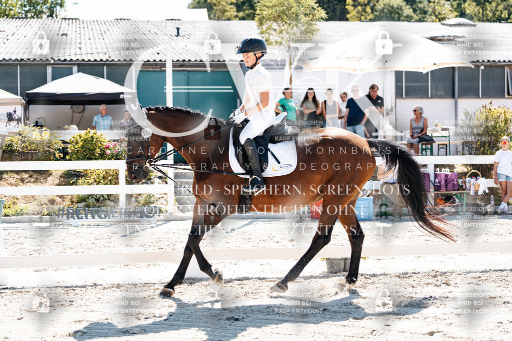 CK902561 | Turnierfotografie Pferdefotografie Trier Rheinland-Pfalz Pferdesport Reitsport Tierfotografie Sportfotografie Pferdevideo Pferdevideografie Equestrianvideography equestrianphotography  - Realisiert mit Pictrs.com