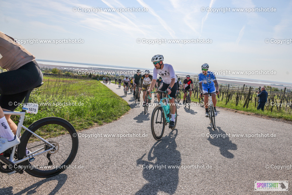 007A9600 | Neusiedlersee Radmarathon #neusiedlerseeradmarathon #neusiedlersee #nrm26 #yourpictrs #sportshot_your_pictrs