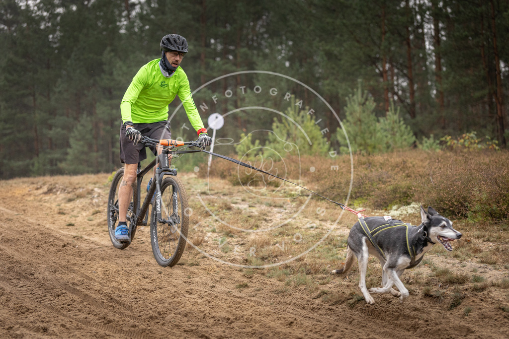 Pfotenfotografie_DV3A4026 | Hundefotografie, Tierfotograf, Pfotenfotografie, Fotoshooting Hund, Hunde Portrait, Hundesport, Hundeportraits, Heideshooting, Hunde, Sportfotograf, Hundefotograf, Turnierhundsport, THS,  - Realisiert mit Pictrs.com