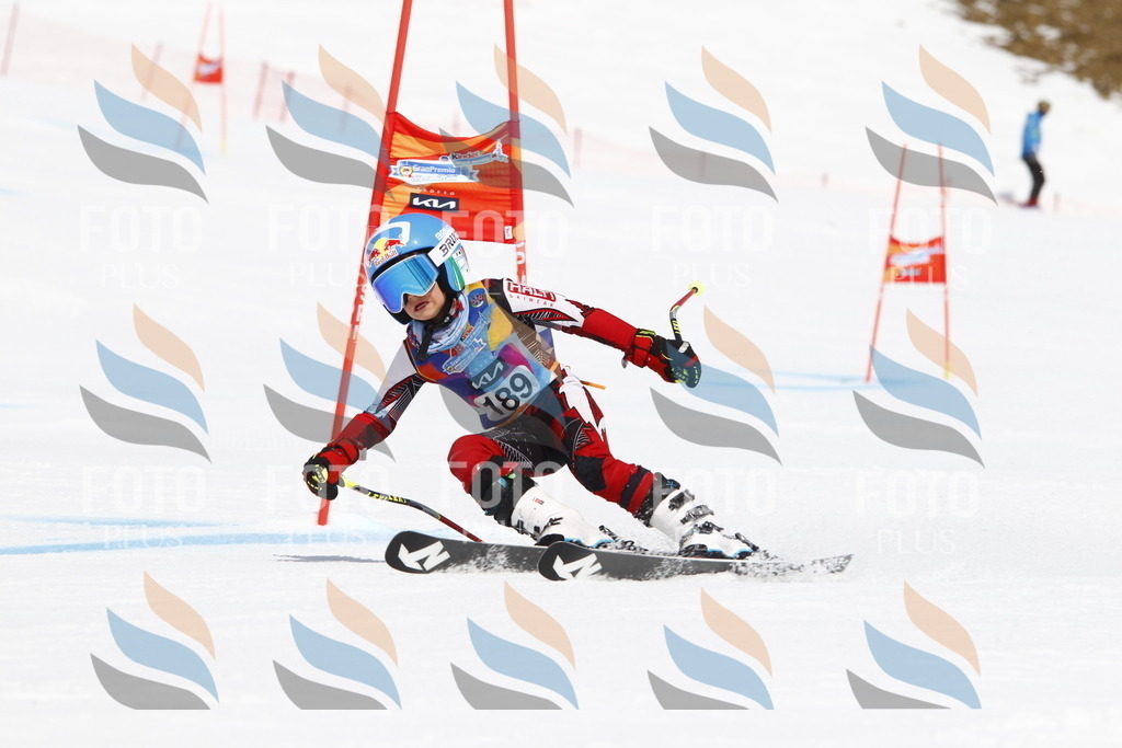 _U3G4960 | holidayphoto