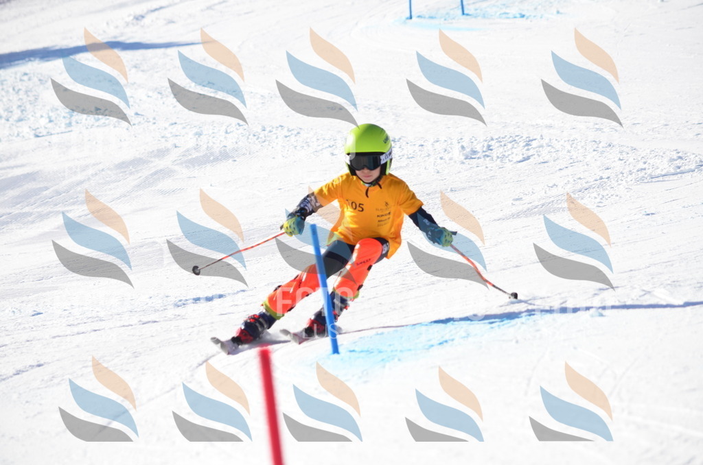 C6221 | holidayphoto