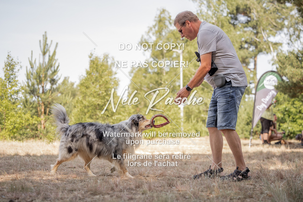 nelerasche_soDD2_99 | nelerasche