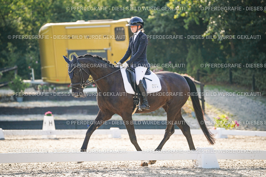 DSC08153 | Pferdegrafie