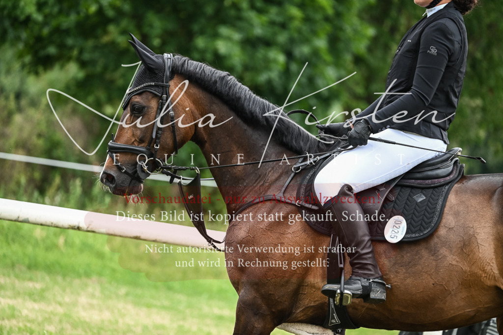 DSC_8442 | Pferde- und Turnierfotografie in Westsachsen. Pferdeportraits, Auftragszeichnungen und intuitive Kunst.