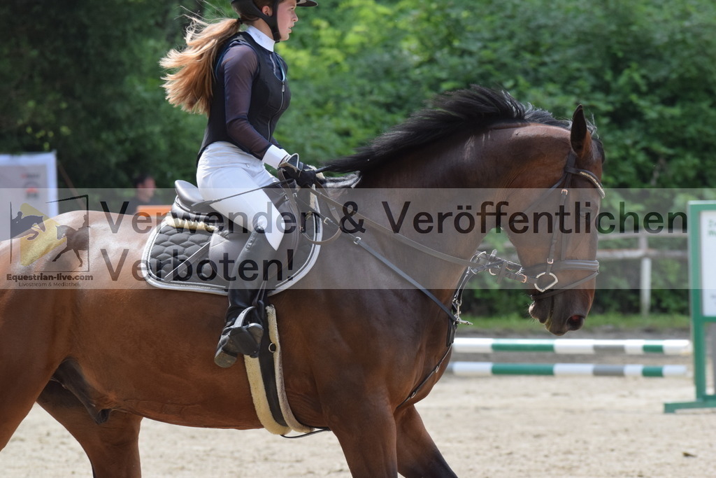 DSC_0028 | equestrian-live-com