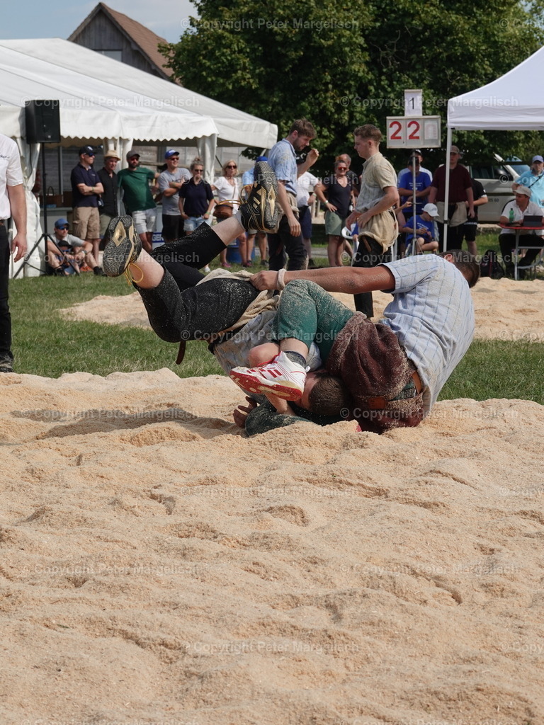 DSC05168 | Schwingen - Realisiert mit Pictrs.com