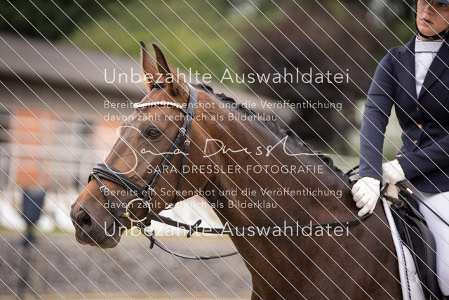 SD_OED_03764 | saradresslerfotografie - Realisiert mit Pictrs.com