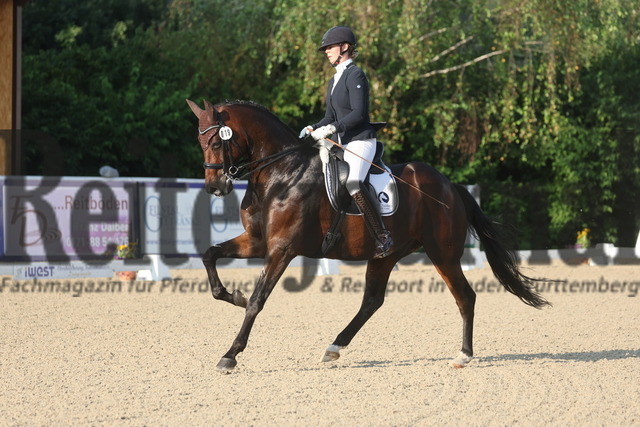 Birkhof_2024_Prfg.Nr.09_Dressur_Kl.S_Nachwuchspferde_Anna-Lisa Stotmeister_Bobby Brown 61 (10) | Alle Fotos der Reiterjournal Fotografin Doris Matthaes im Reiterjournal Online-Fotoshop. - Realisiert mit Pictrs.com