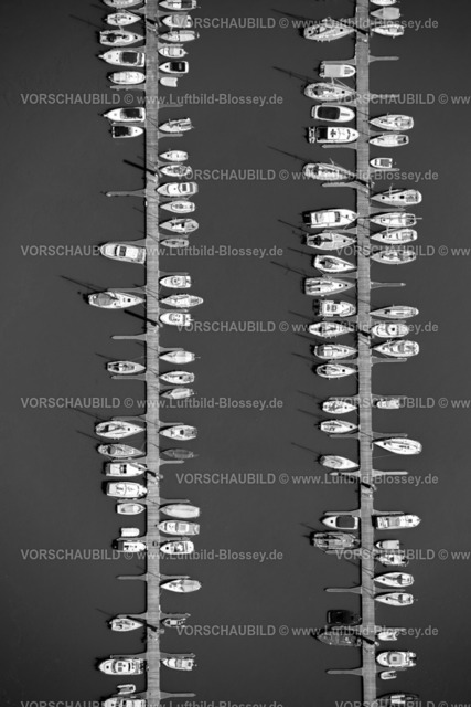 Wedel15068432 | Hamburger Yachthafen-Gemeinschaft e.V., Segelboote, Segelboot, Bootssteg, Elbe,  Wedel, Norddeutschland, Schleswig-Holstein, Deutschland