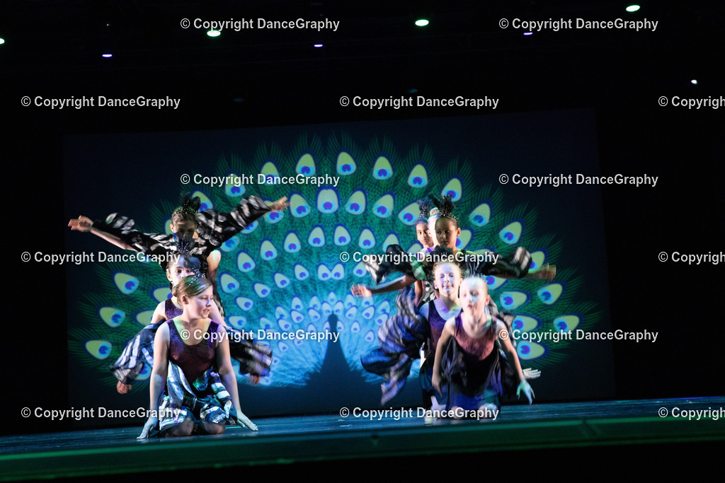 GPHY6162 | DanceGraphy - Realisiert mit Pictrs.com