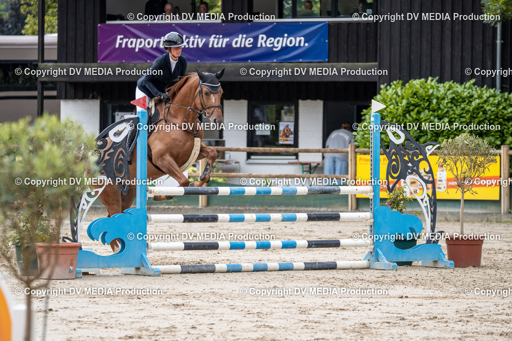 Hessische Tag 1-043 | dv-media-shop - Realisiert mit Pictrs.com