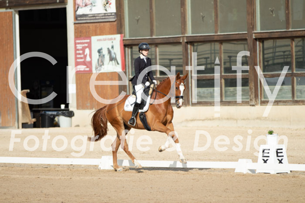 IMG_0648 | Creatify Fotografie