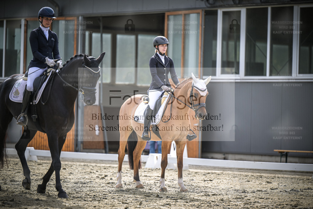 DOS_1997 | Entdecke hochwertige Reitturnierfotos von Foto Oger. Professionell, emotional und authentisch – jetzt Lieblingsmomente im Shop bestellen. - Realisiert mit Pictrs.com