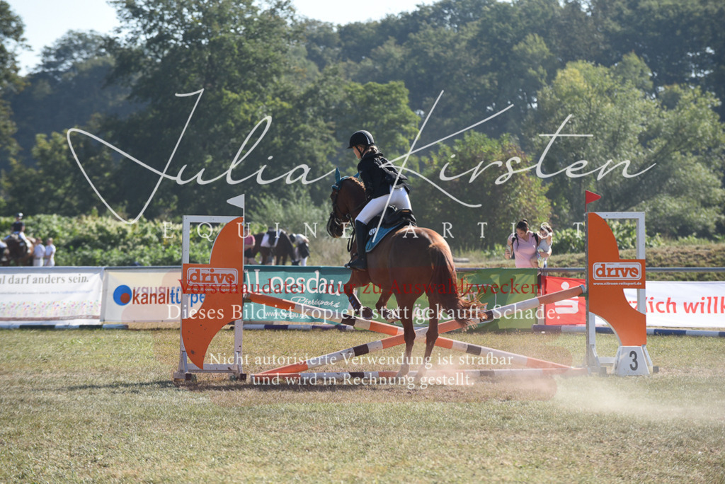 DSC_6051 | Pferde- und Turnierfotografie in Westsachsen. Pferdeportraits, Auftragszeichnungen und intuitive Kunst.
