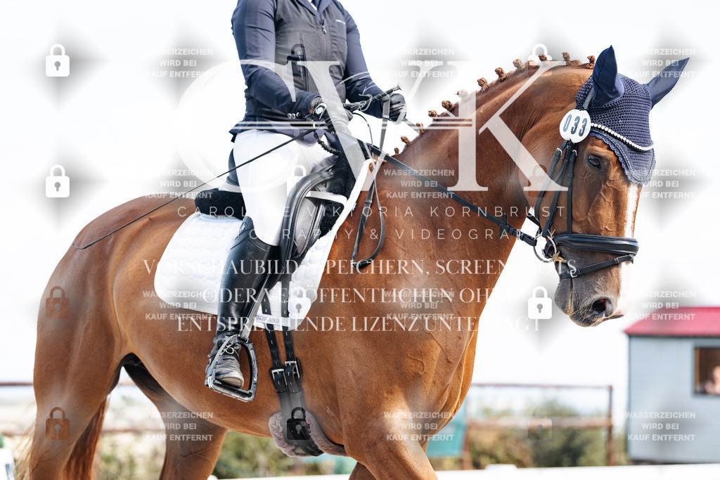 CK902465 | Turnierfotografie Pferdefotografie Trier Rheinland-Pfalz Pferdesport Reitsport Tierfotografie Sportfotografie Pferdevideo Pferdevideografie Equestrianvideography equestrianphotography  - Realisiert mit Pictrs.com